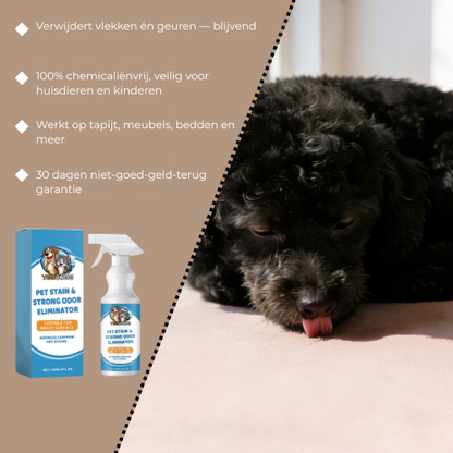 Oxifris — Vlekken- & Geurspray voor Huisdieren