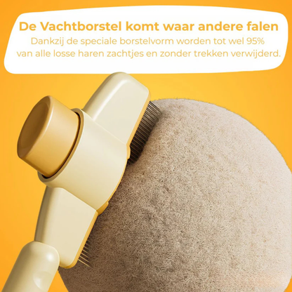 Fellblitz™ Vachtborstel – De Beste Keuze Voor Een Haarvrij Huis