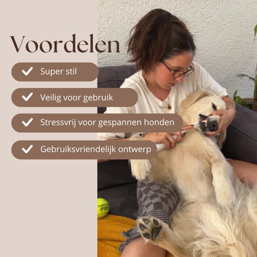Dentura™ Pro – Gezonde Tanden Zonder Dure Dierenartsbezoeken