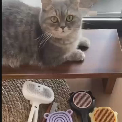 Fellblitz™ Vachtborstel – De Beste Keuze Voor Een Haarvrij Huis