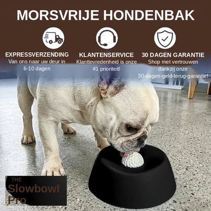 Slowbowl Pro | Antislip Voerbak & Likmat voor Honden